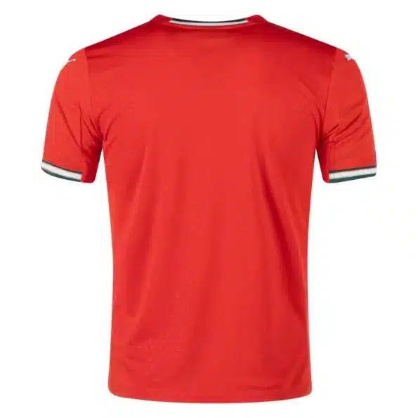 Portugal Home Jersey 25 26 back side